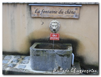 Les Boucles du Mont Grenet